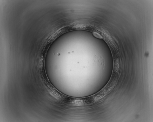 X0000101150413200806270948