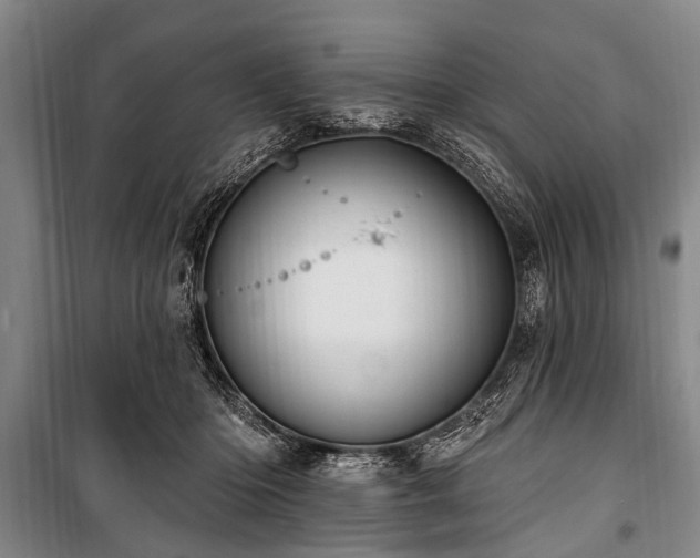 X0000101150414200806270948