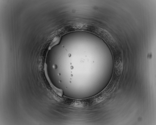 X0000101150416200806270948