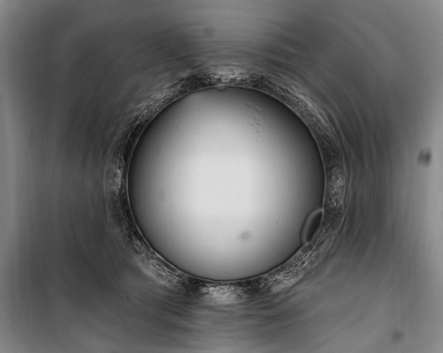 X0000101150417200806270948