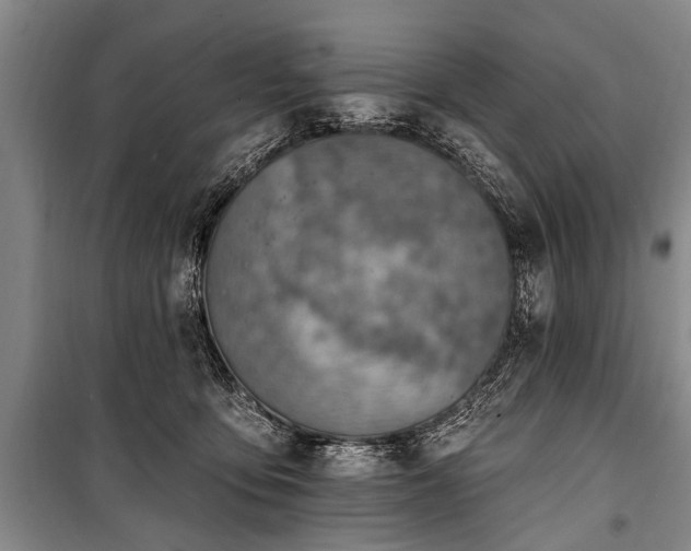X0000101150419200806270948