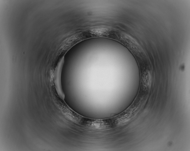 X0000101150420200806270948