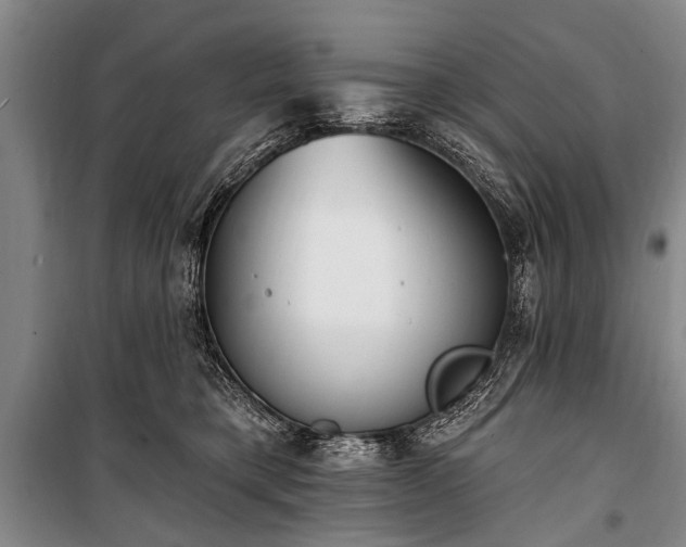 X0000101150421200806270948