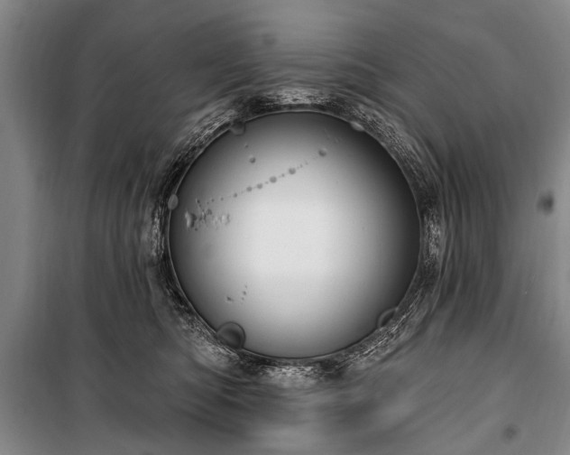 X0000101150422200806270948