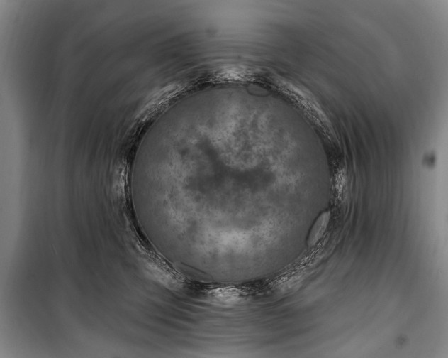 X0000101150423200806270948