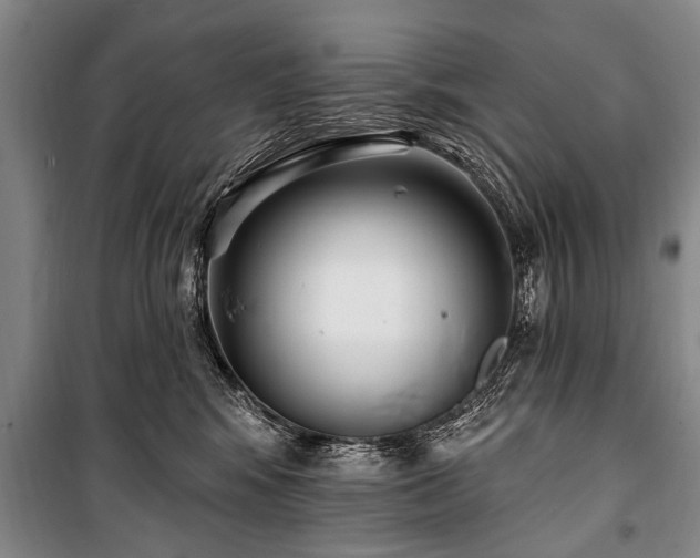 X0000101150424200806270948