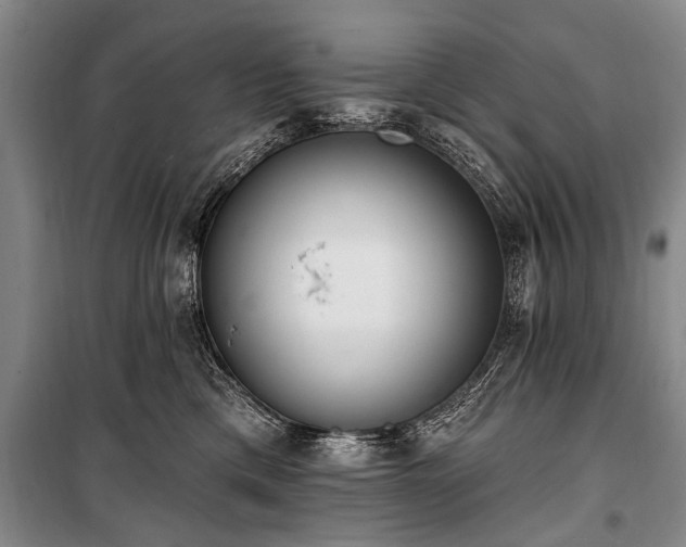 X0000101150425200806270948