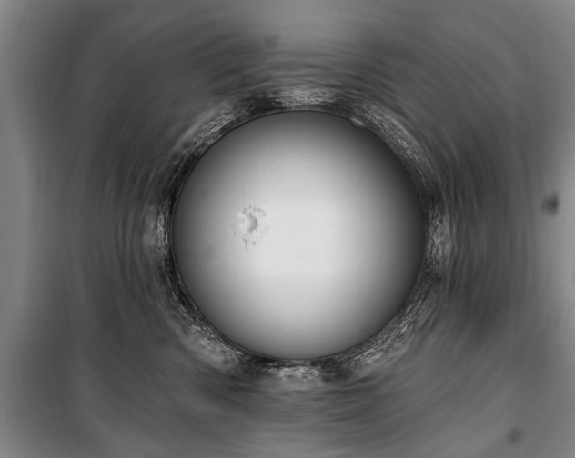 X0000101150426200806270948