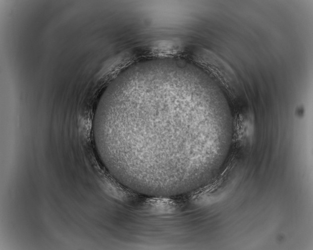 X0000101150427200806270948