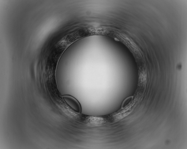 X0000101150429200806270948