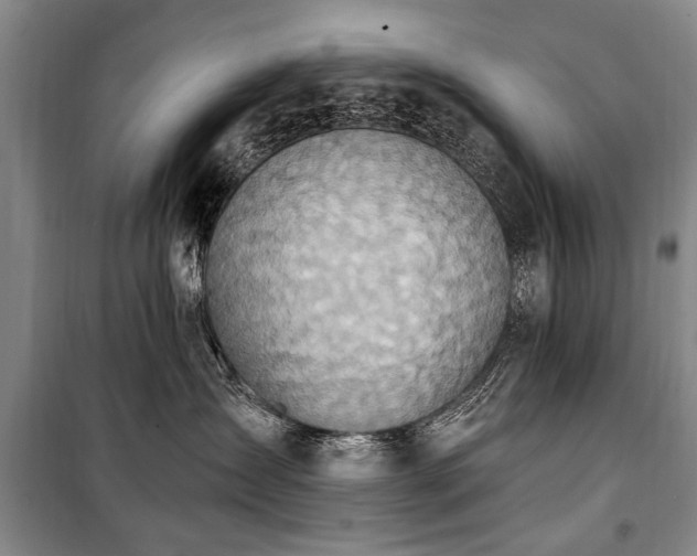 X0000101150431200806270948
