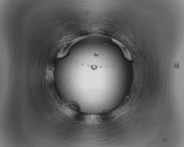 X0000101150432200806270948