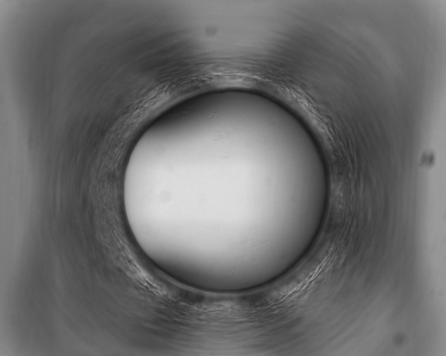 X0000101150433200806270947