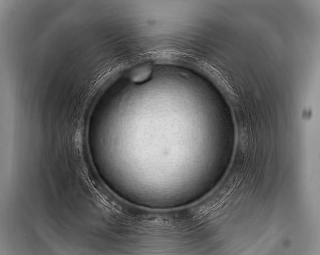 X0000101150434200806270947