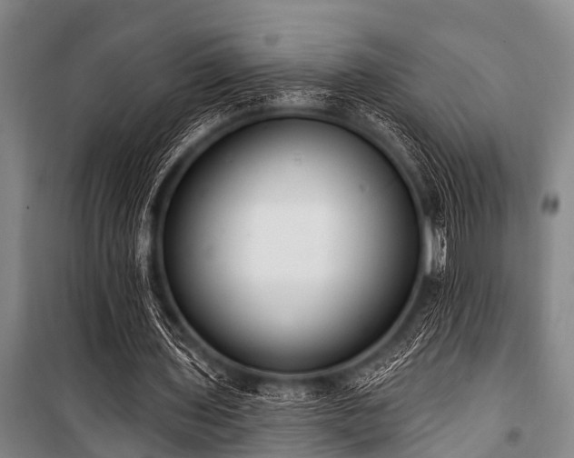 X0000101150435200806270947