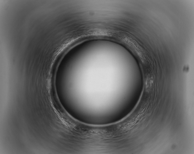 X0000101150436200806270947