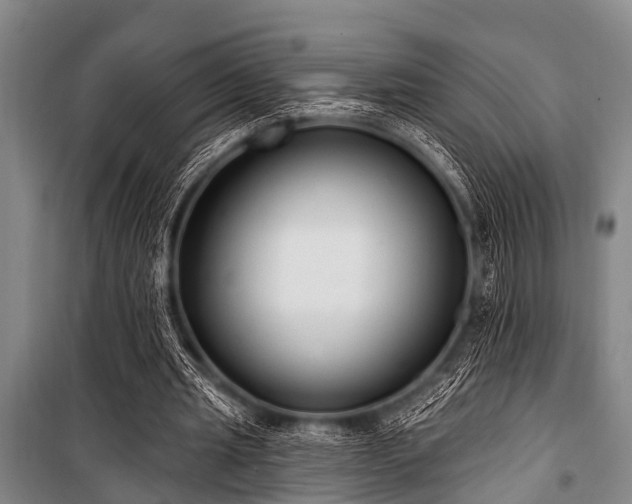 X0000101150437200806270947