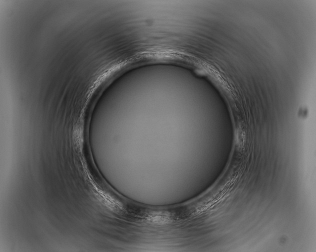 X0000101150438200806270947