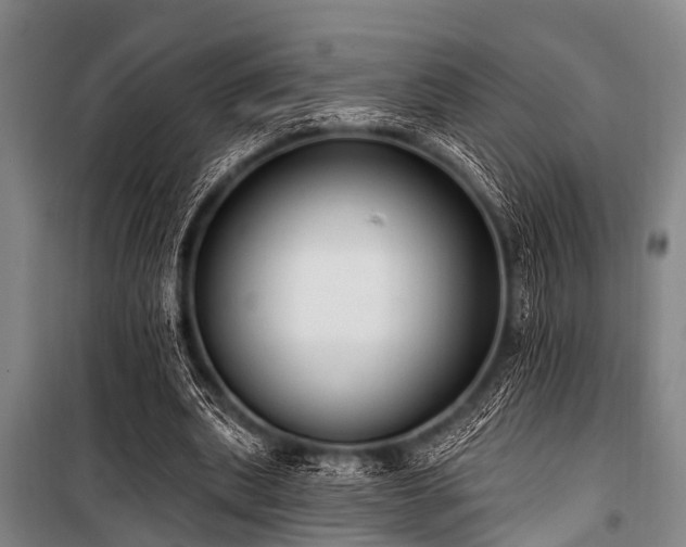 X0000101150439200806270947