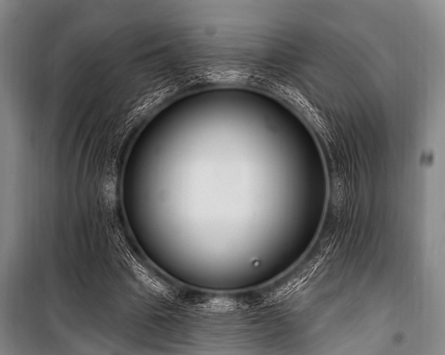 X0000101150441200806270947