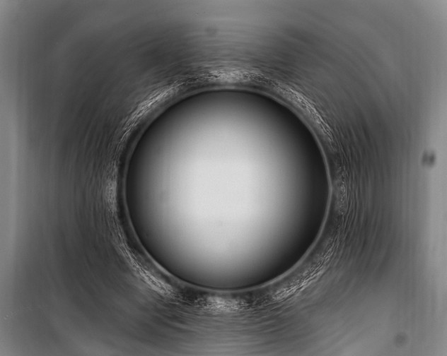 X0000101150442200806270947