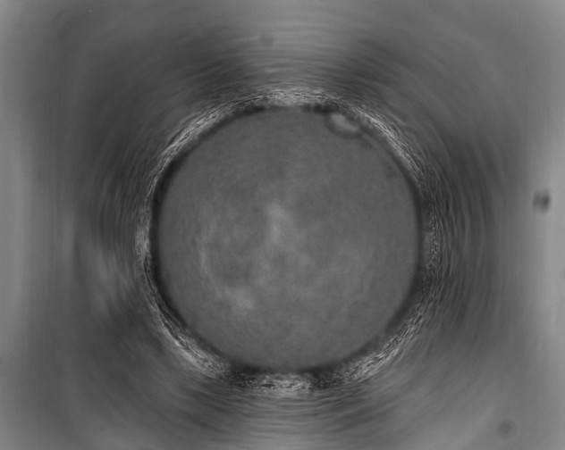 X0000101150443200806270947