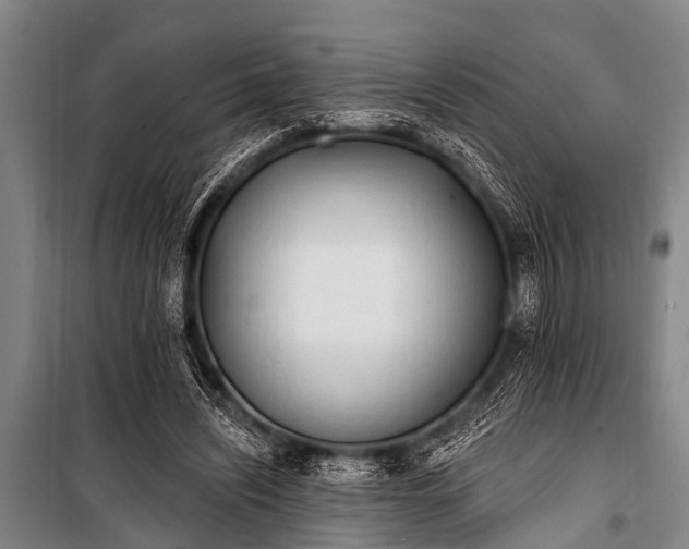 X0000101150444200806270947