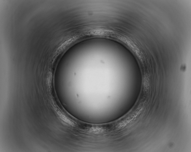 X0000101150445200806270947