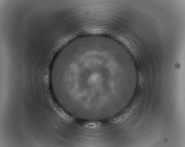 X0000101150447200806270947