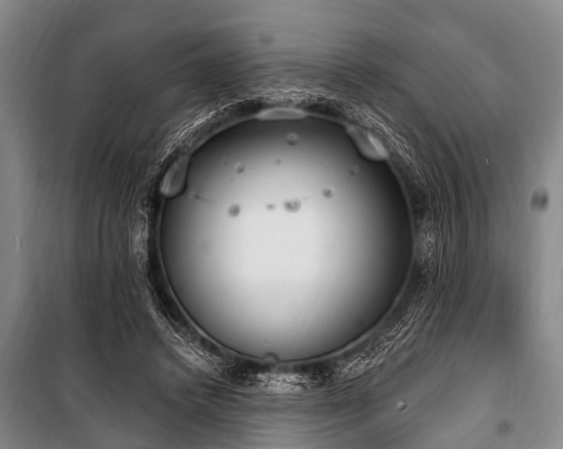 X0000101150448200806270947