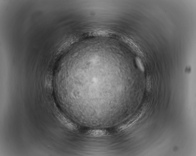 X0000101150449200806270947