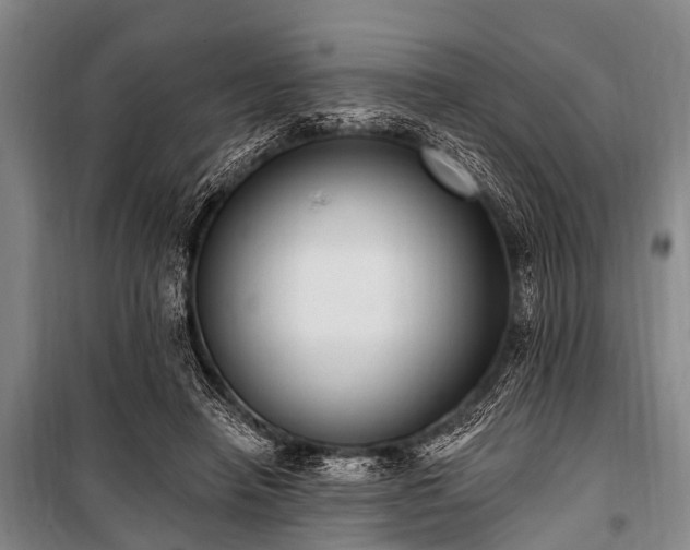 X0000101150450200806270947