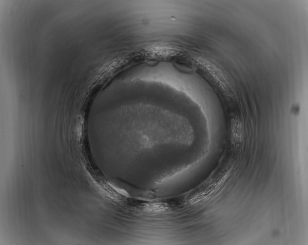 X0000101150451200806270947