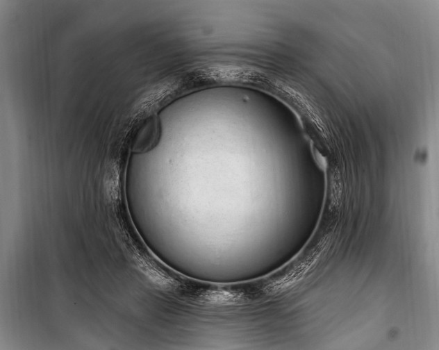 X0000101150453200806270947