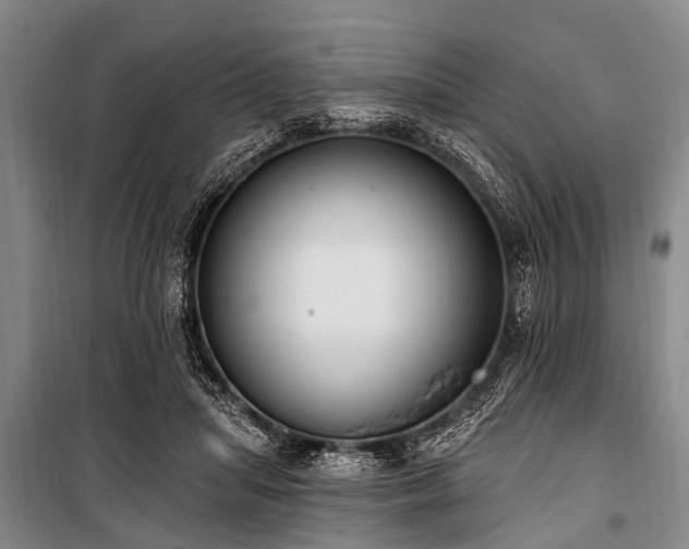 X0000101150455200806270947