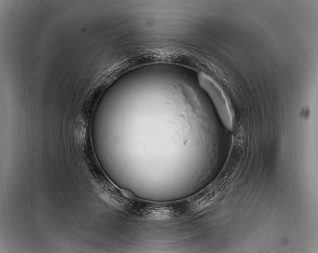 X0000101150456200806270947