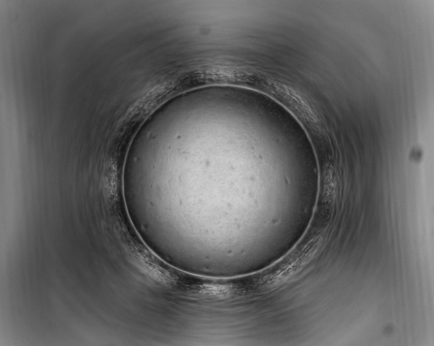 X0000101150457200806270947