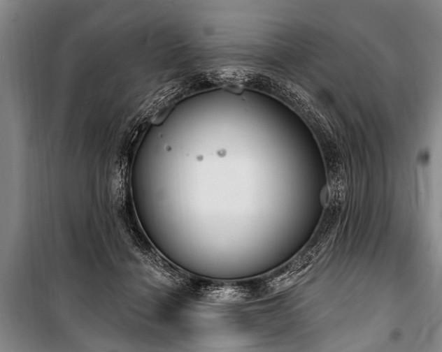 X0000101150460200806270947