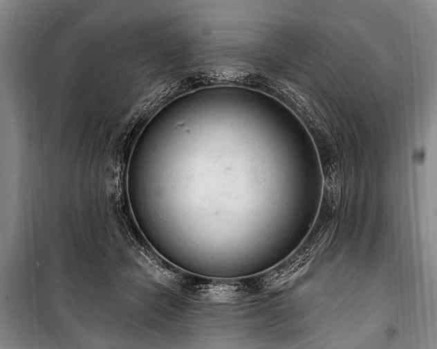 X0000101150462200806270947