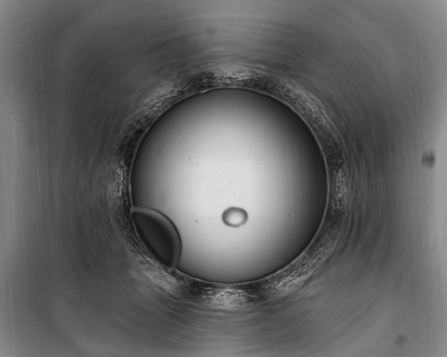 X0000101150463200806270947