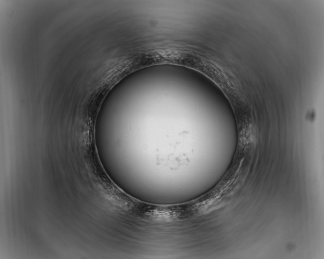 X0000101150464200806270947