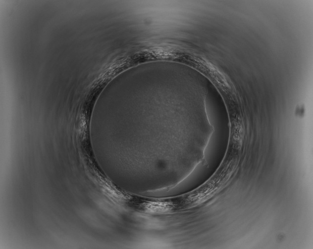 X0000101150465200806270947