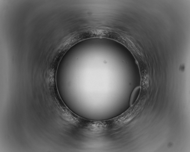 X0000101150466200806270947