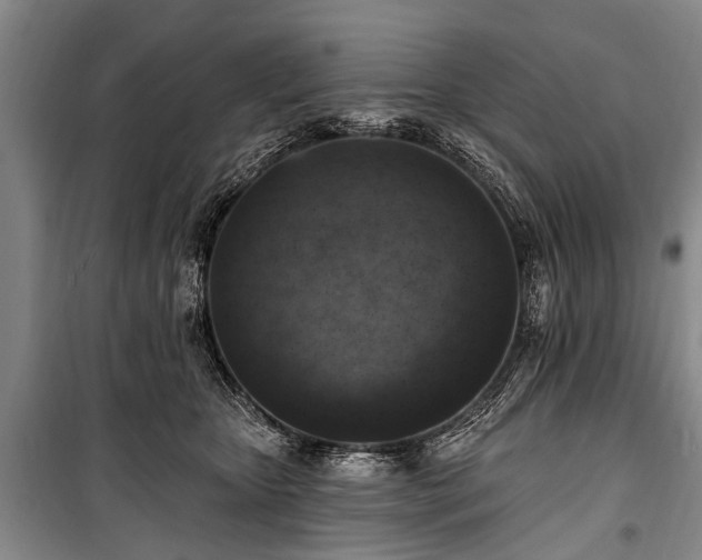 X0000101150467200806270947