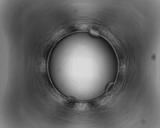 X0000101150469200806270947