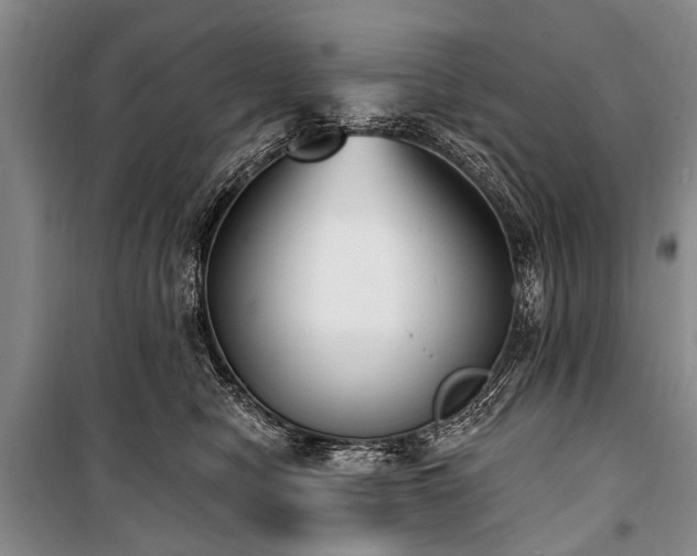 X0000101150470200806270947