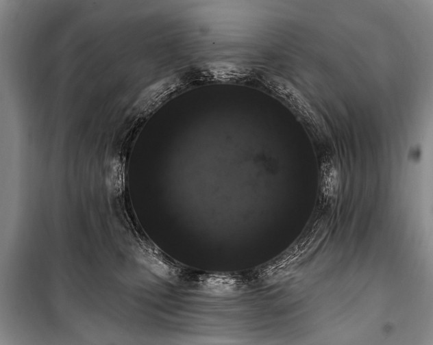 X0000101150471200806270947