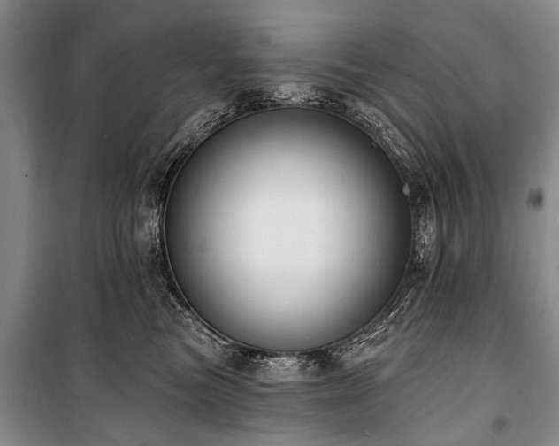 X0000101150473200806270947