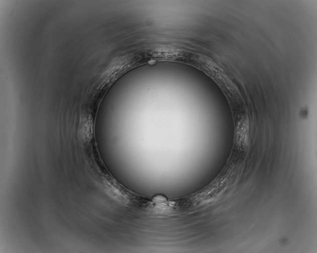 X0000101150474200806270948