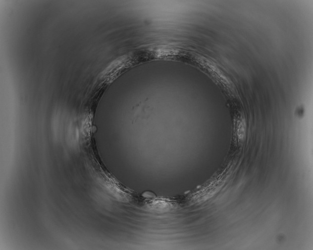 X0000101150475200806270948